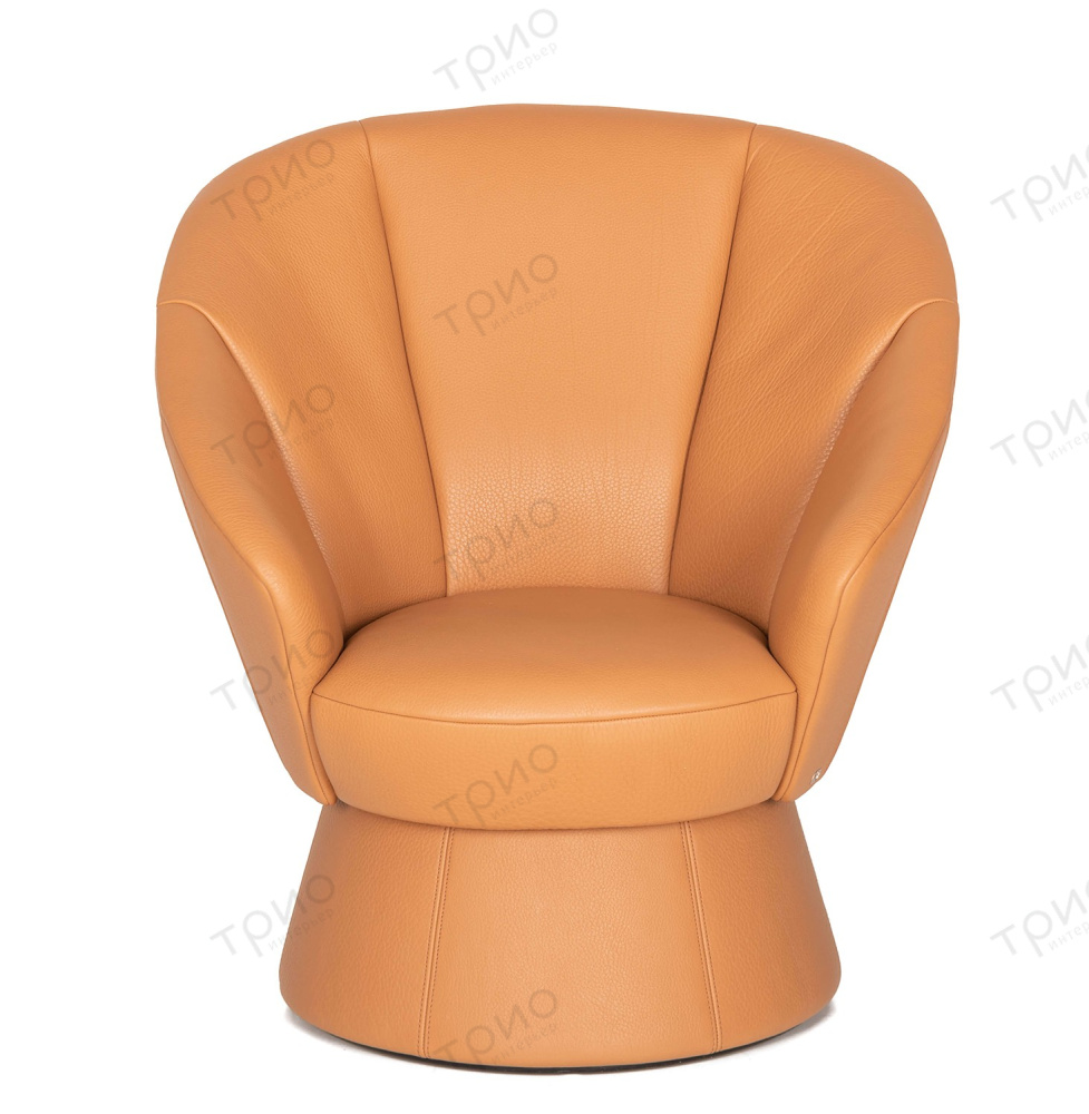 Кресло DS-163 от De Sede