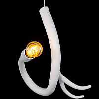 Подвесной светильник Edison's Tail ED1QWM /ED1QBRBUR от Brand Van Egmond