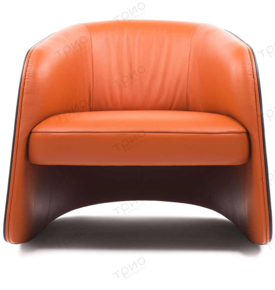 Кресло DS-900 от De Sede