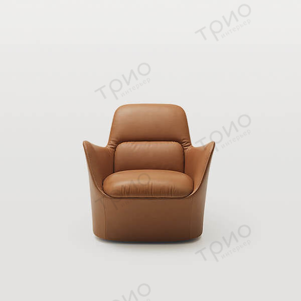 Кресло DS-110 от De Sede
