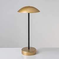 Настольная лампа outdoor Umbri gold black от Marchetti Illuminazione
