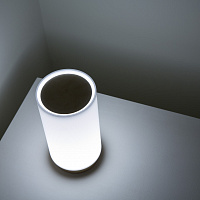 Настольная лампа Bugia от Davide Groppi